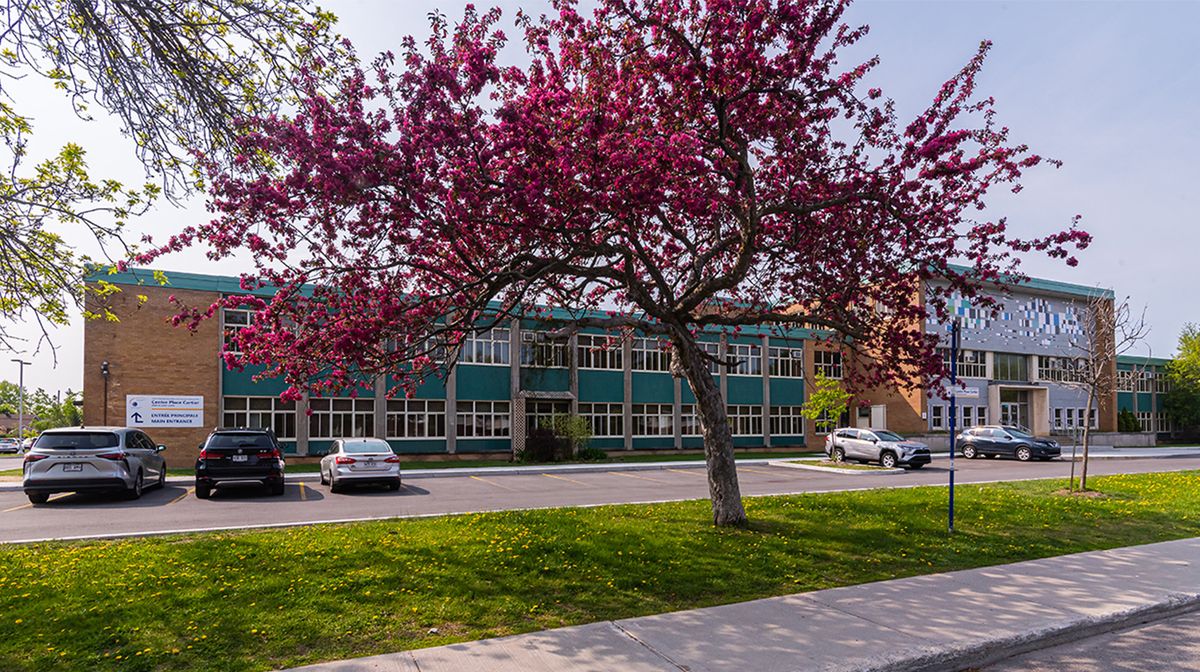 Residential & Commercial Drafting (DEP) – Lester B. Pearson School Board – Continuing Education
