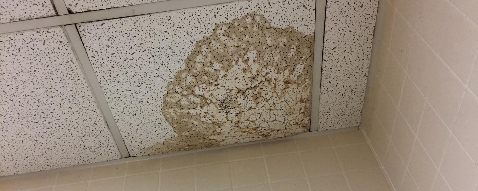 A water-stained ceiling tile above a tiled bathroom wall