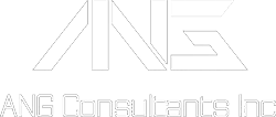 ANG Consultants Inc. logo