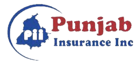 Punjab Insurance logo